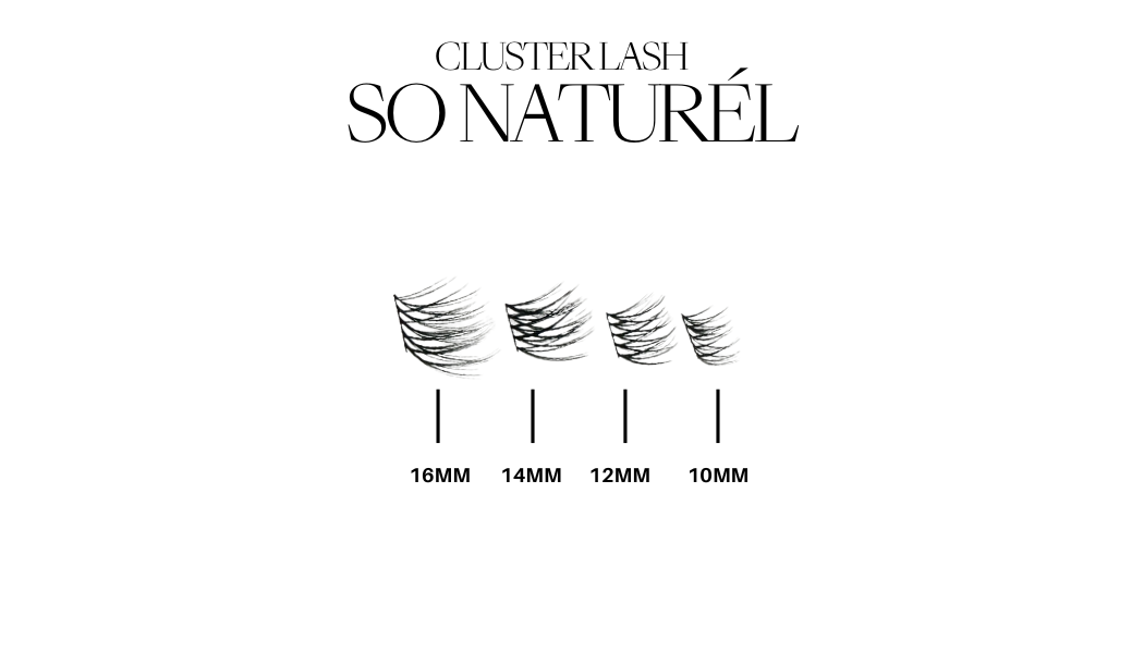 CLUSTER BOOK BUNDLE