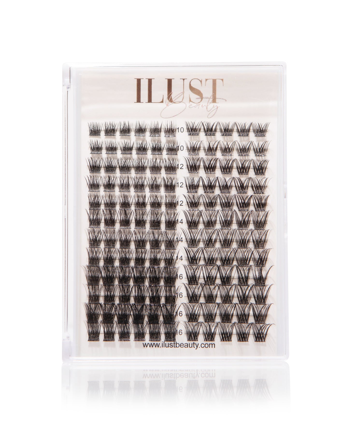CLUSTER BOOK BUNDLE